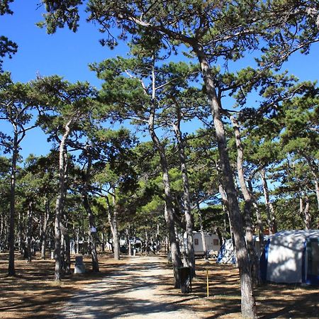 Hotel Camping Planik Ražanac Zewnętrze zdjęcie
