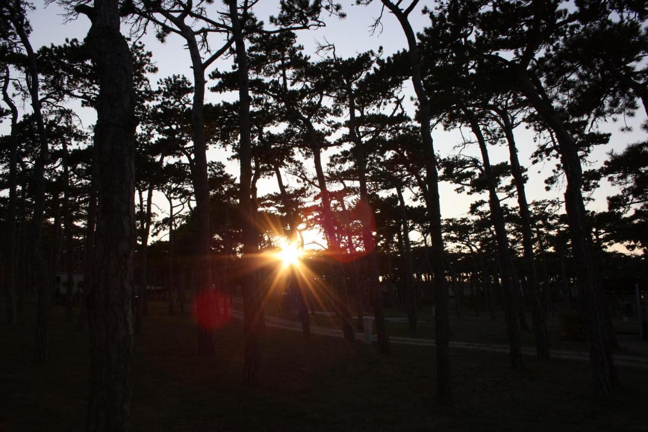Hotel Camping Planik Ražanac Zewnętrze zdjęcie